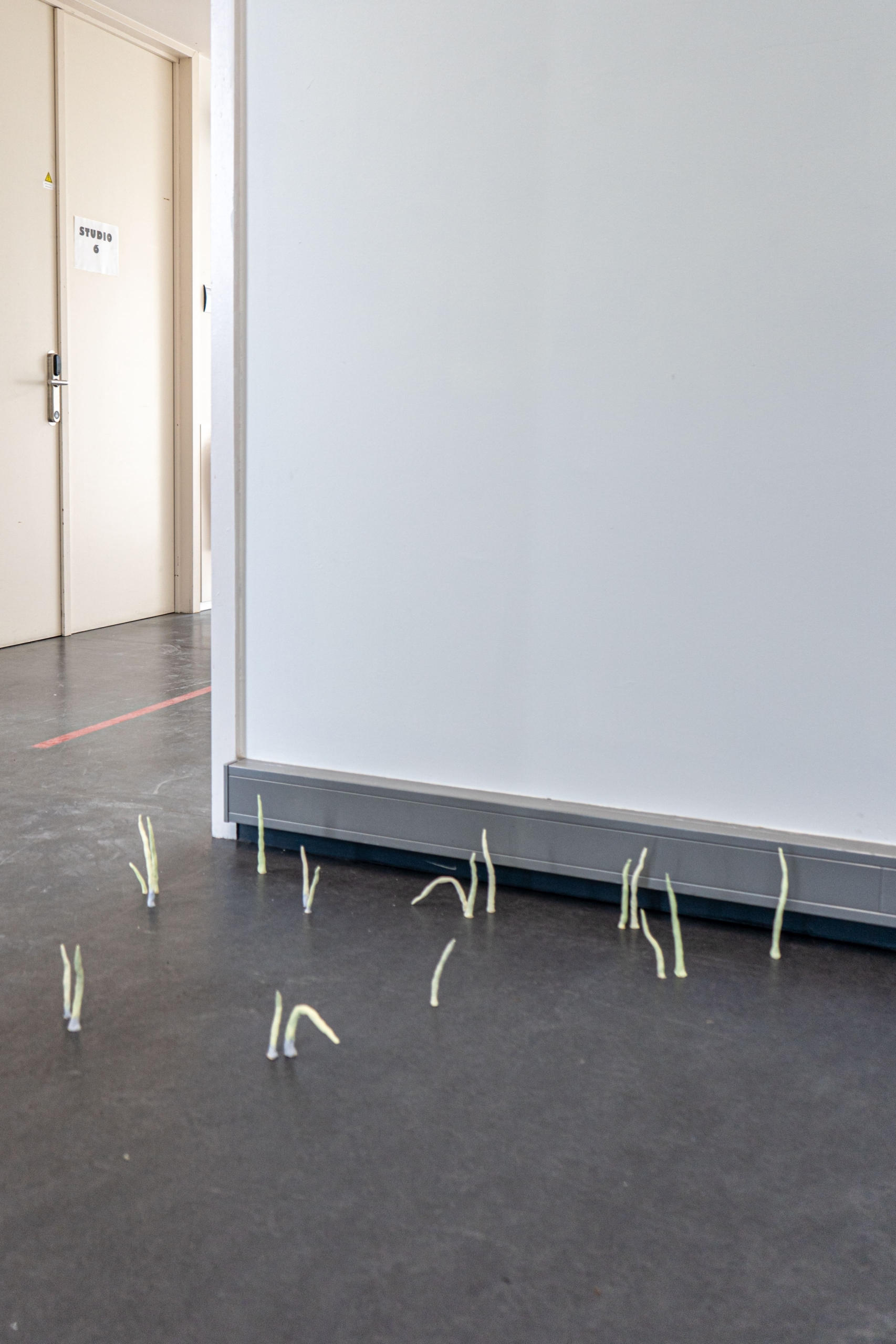 Ana Chaduneli - Graduation Exhibition at KASK