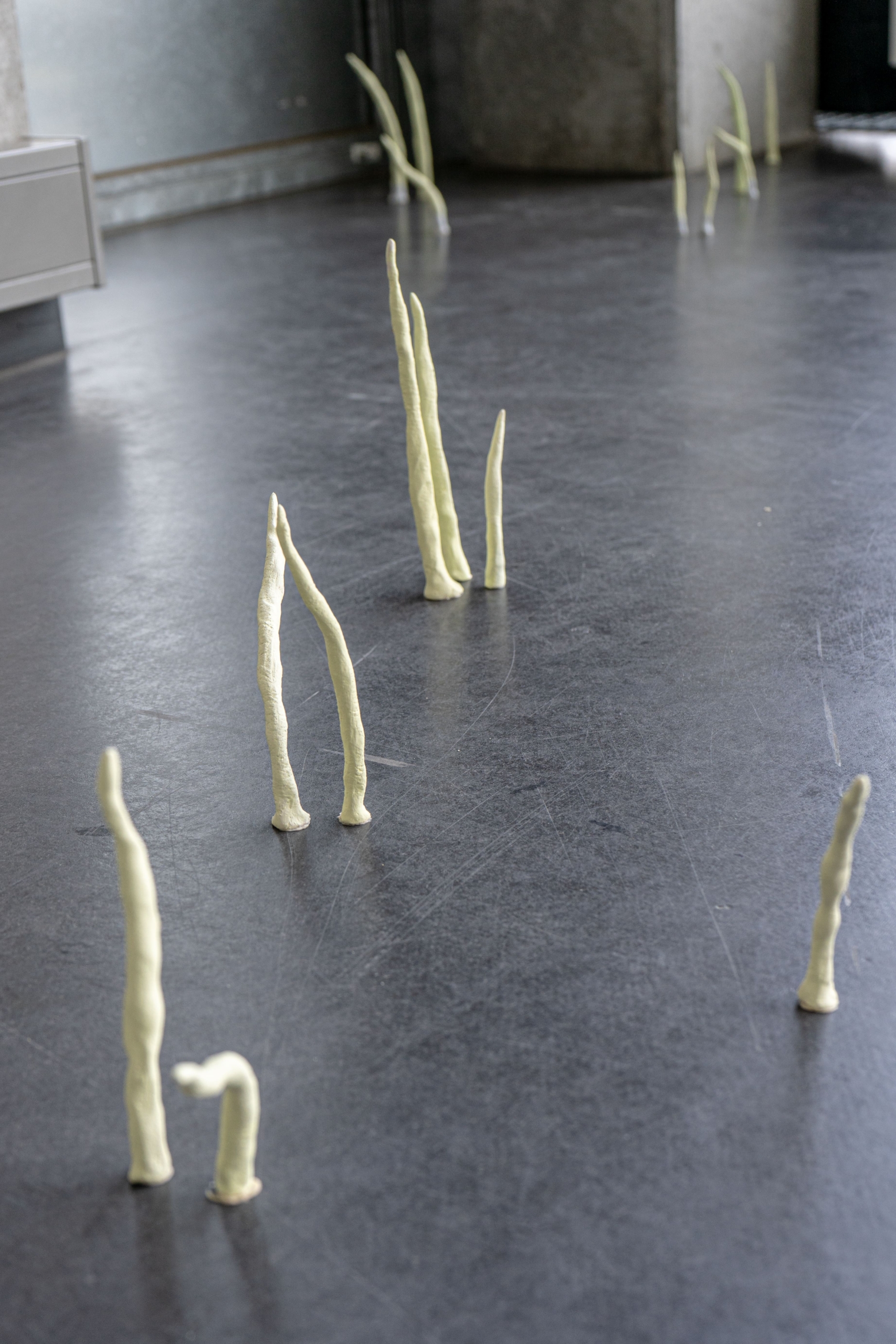 Ana Chaduneli - Graduation Exhibition at KASK