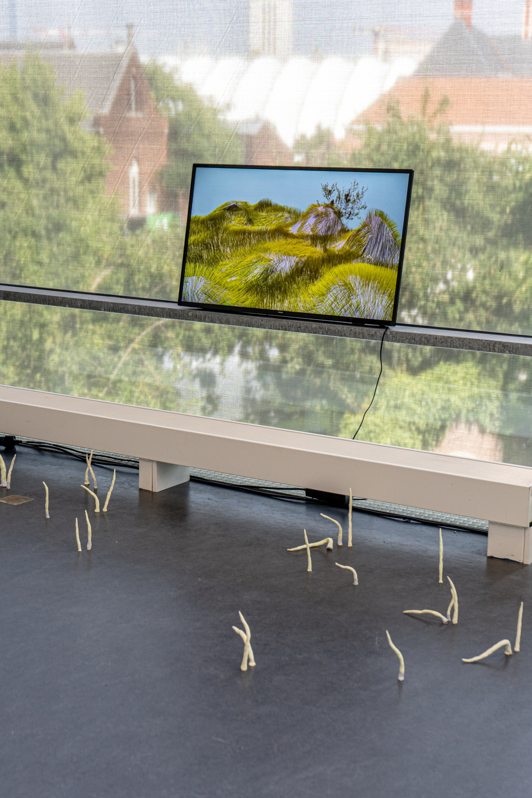 Ana Chaduneli - Graduation Exhibition at KASK