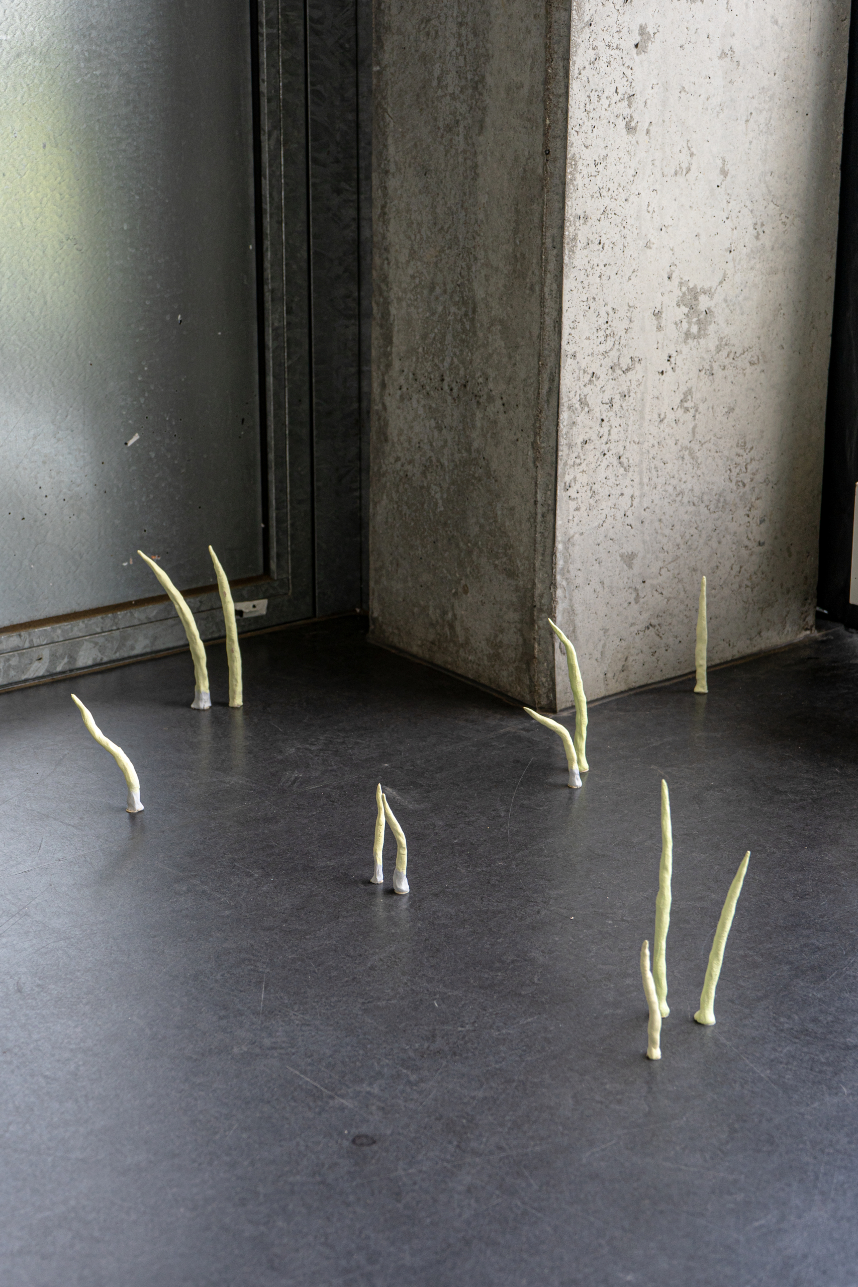 Ana Chaduneli - Graduation Exhibition at KASK