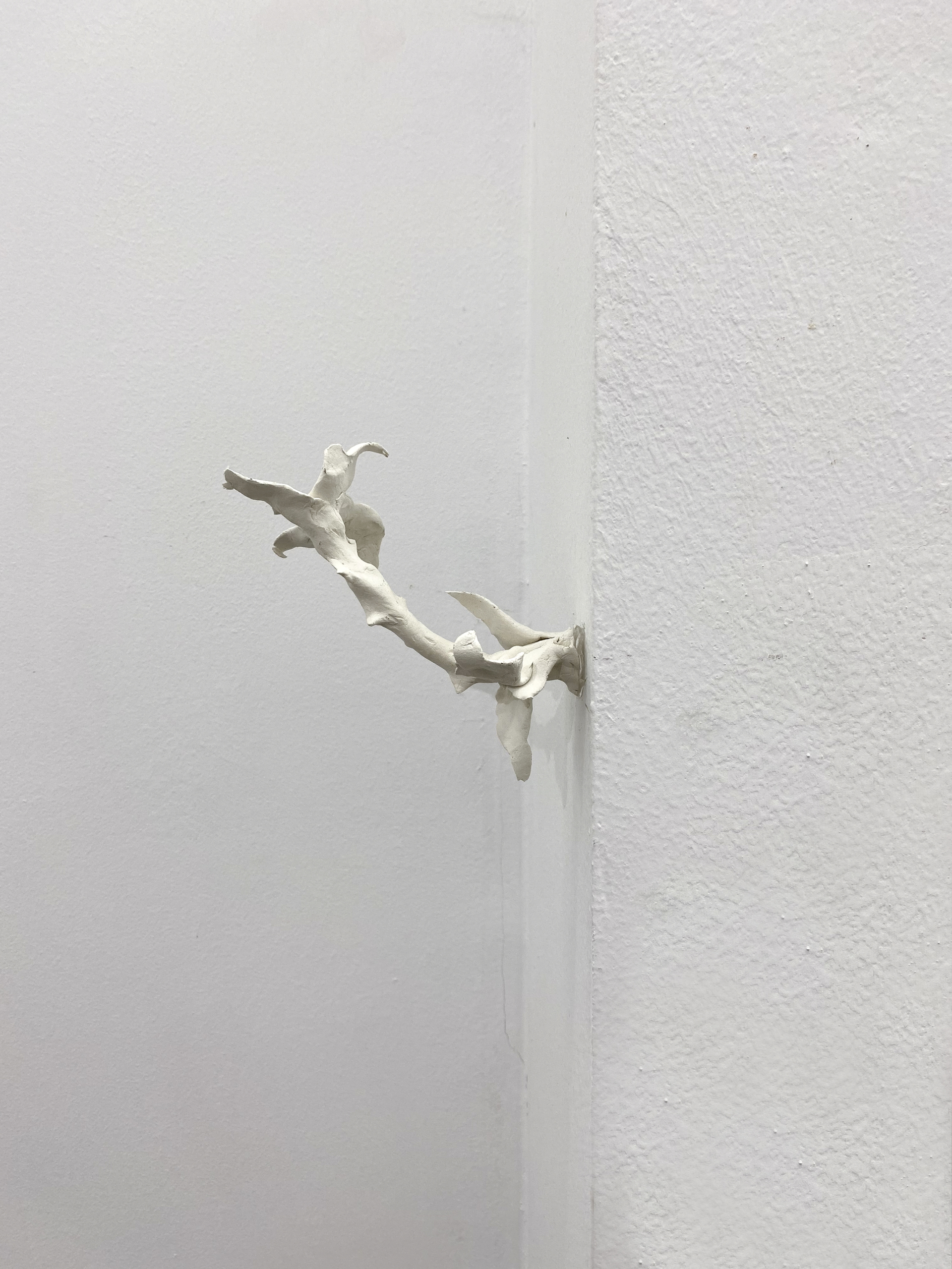 Ana Chaduneli - Terrible Dreams